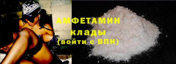 прущие грибы Каменск-Шахтинский