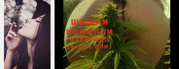 гашик Каменногорск