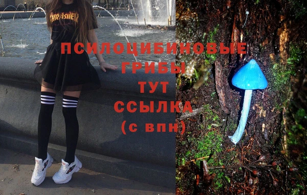 меф Каменка