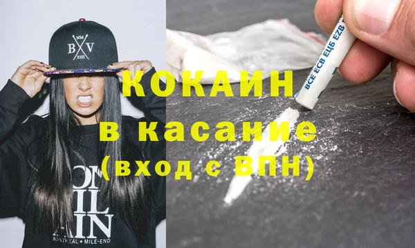 прущие грибы Каменск-Шахтинский