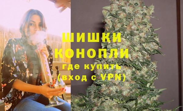 прущие грибы Каменск-Шахтинский